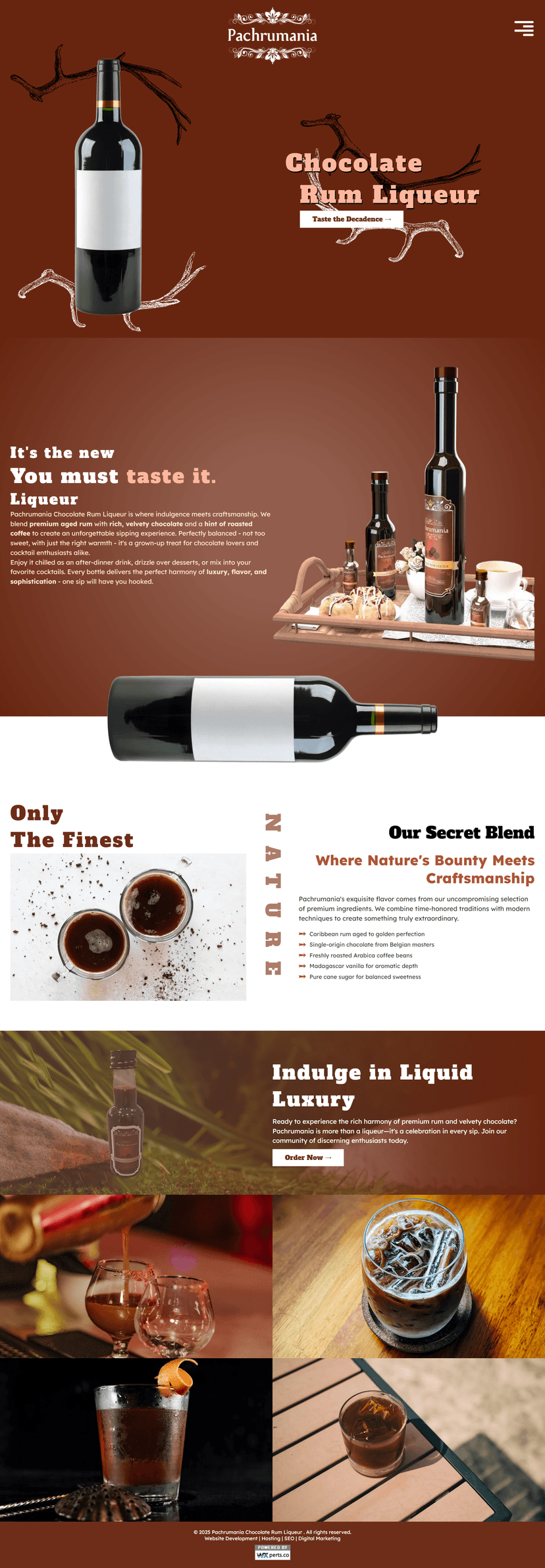 Websoft Art | Project Image