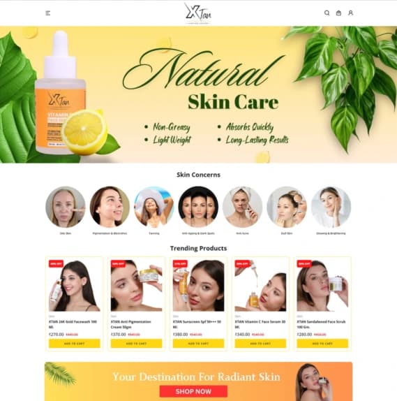 Websoft Art | Project Image