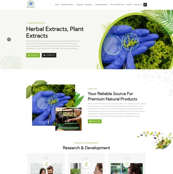 WebSoftArt branding - corporate identity design examples