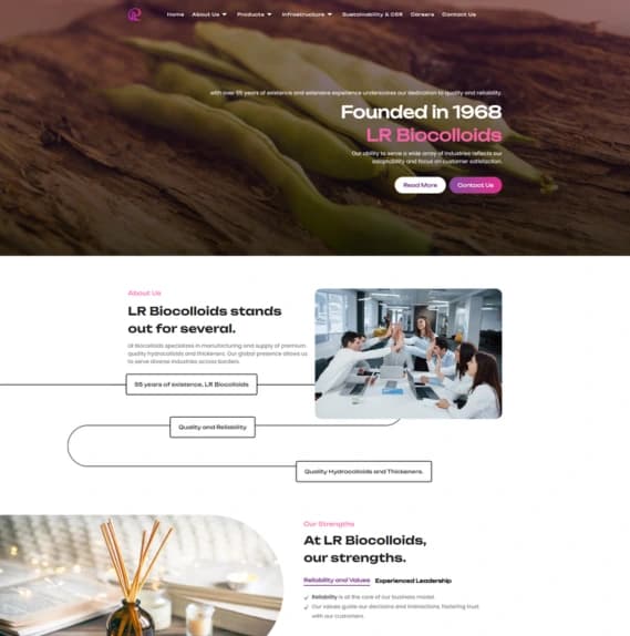 Websoft Art | Project Image